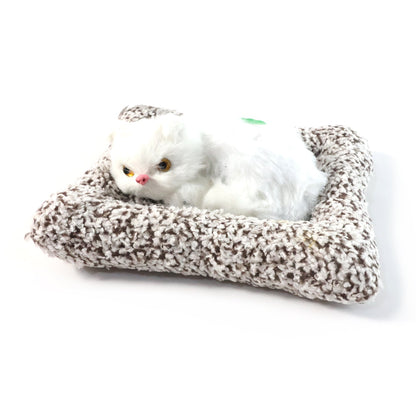 Small plush dashboard cat        

