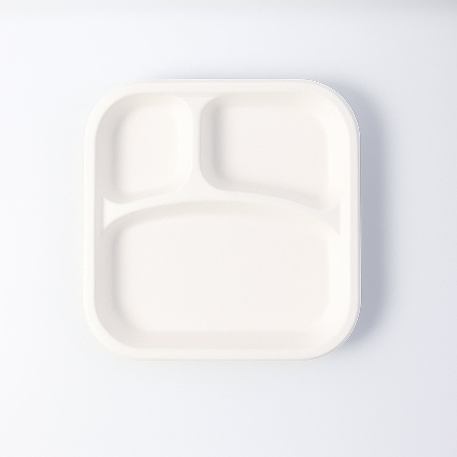 Dinner Plate